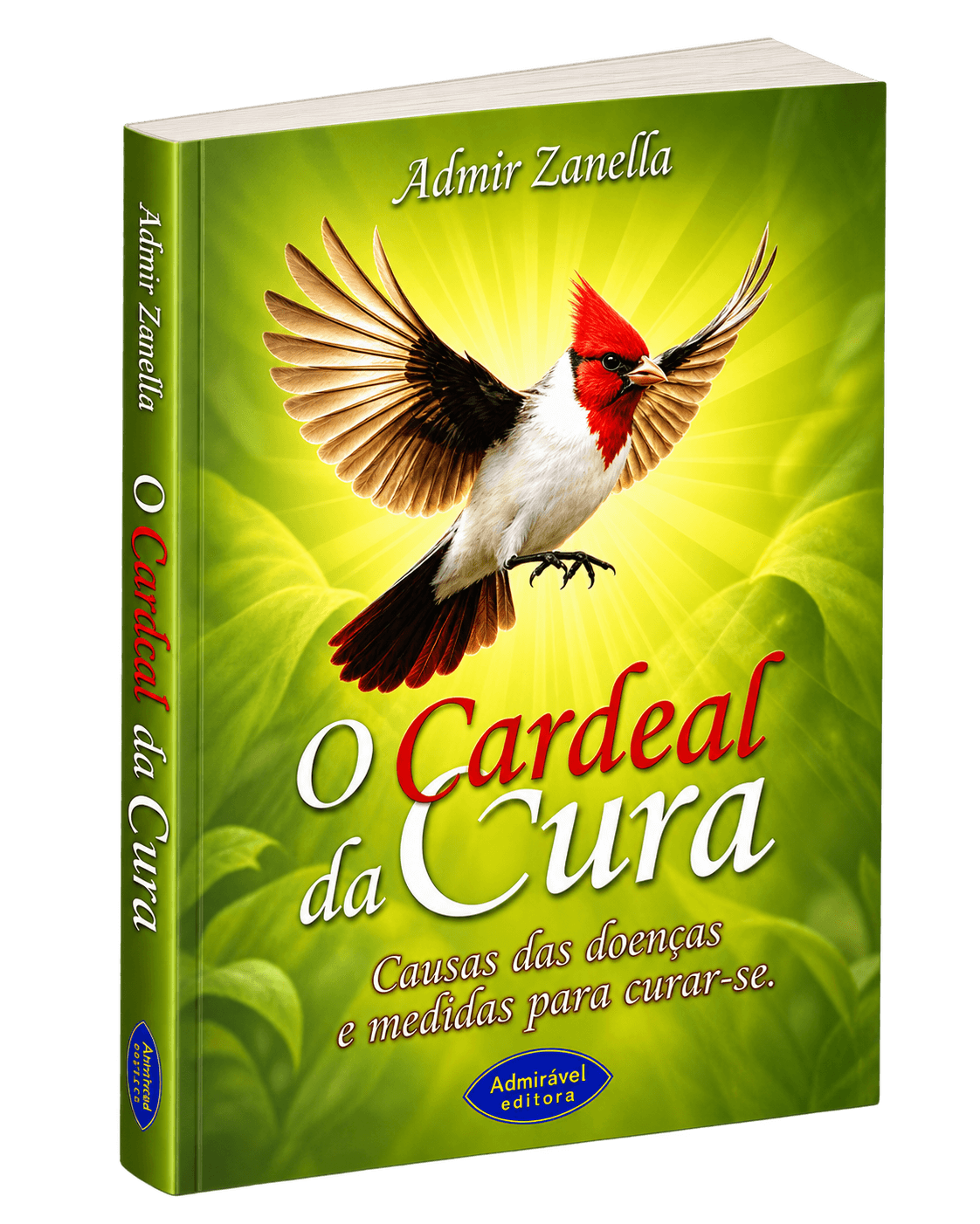 Capa/Folder: O Cardeal da Cura
